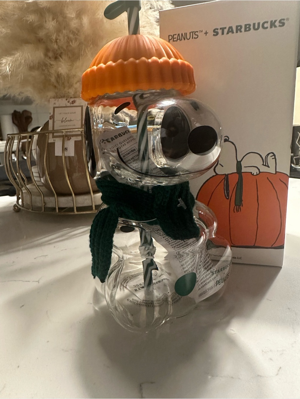 Starbucks Peanuts Snoopy Pumpkin Hat Canister - Orange & Green